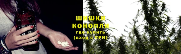 прущие грибы Конаково