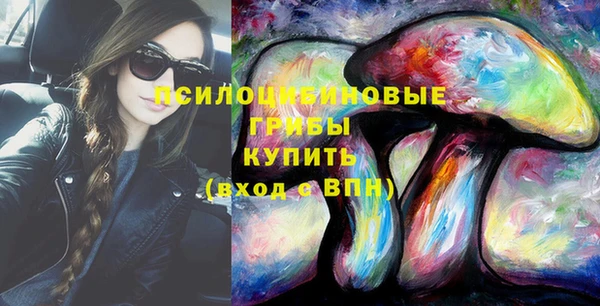 СК Вяземский