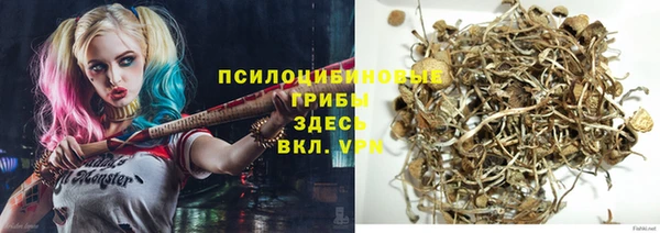 СК Вяземский